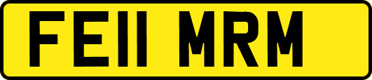 FE11MRM