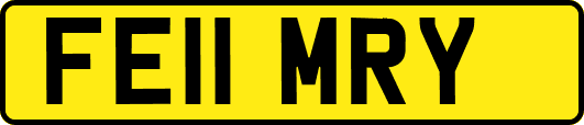 FE11MRY