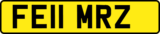 FE11MRZ