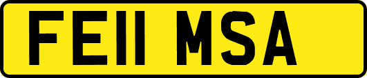 FE11MSA