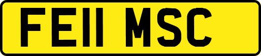 FE11MSC