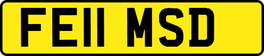 FE11MSD