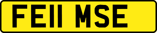 FE11MSE