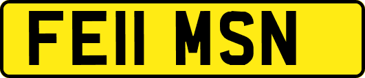 FE11MSN