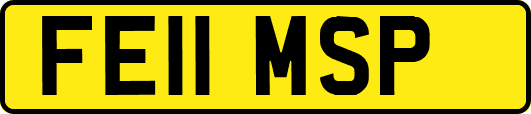 FE11MSP