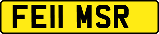 FE11MSR