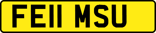 FE11MSU