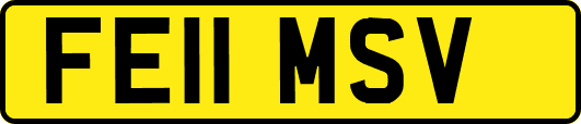 FE11MSV