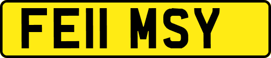 FE11MSY