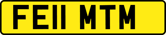 FE11MTM