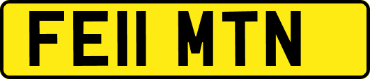 FE11MTN
