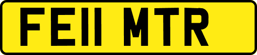 FE11MTR