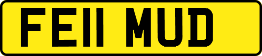FE11MUD