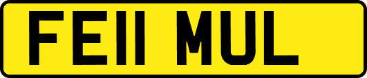FE11MUL