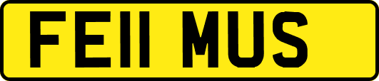 FE11MUS