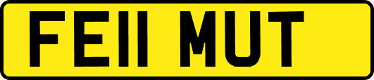 FE11MUT