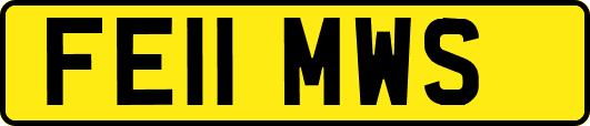 FE11MWS