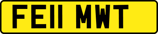 FE11MWT