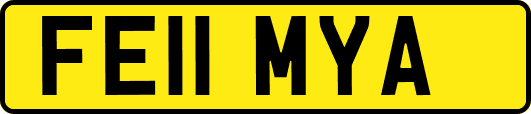FE11MYA