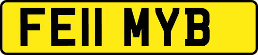 FE11MYB
