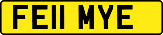 FE11MYE