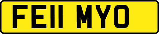 FE11MYO
