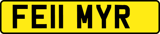 FE11MYR