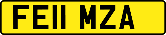 FE11MZA