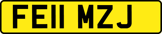 FE11MZJ