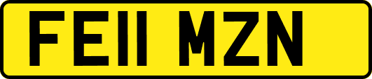 FE11MZN