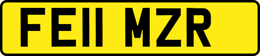 FE11MZR