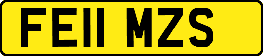 FE11MZS