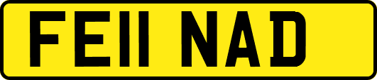 FE11NAD