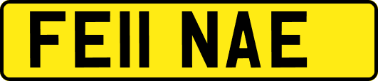 FE11NAE