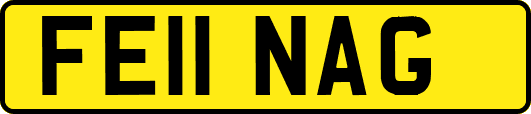FE11NAG