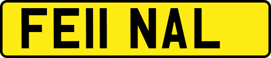 FE11NAL