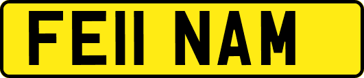 FE11NAM