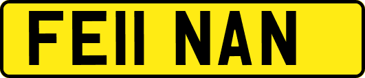 FE11NAN