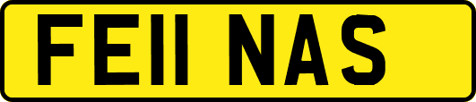 FE11NAS