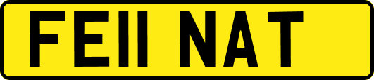 FE11NAT