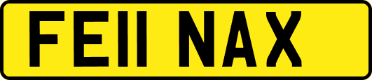 FE11NAX