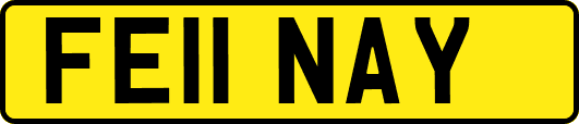 FE11NAY