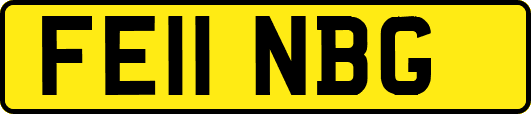 FE11NBG