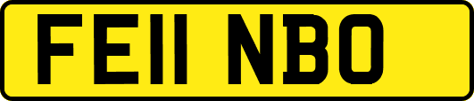 FE11NBO