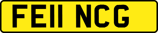 FE11NCG