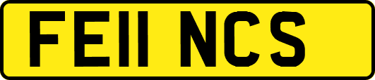 FE11NCS