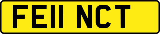 FE11NCT