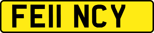FE11NCY