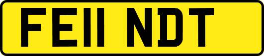 FE11NDT