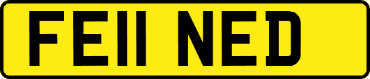 FE11NED